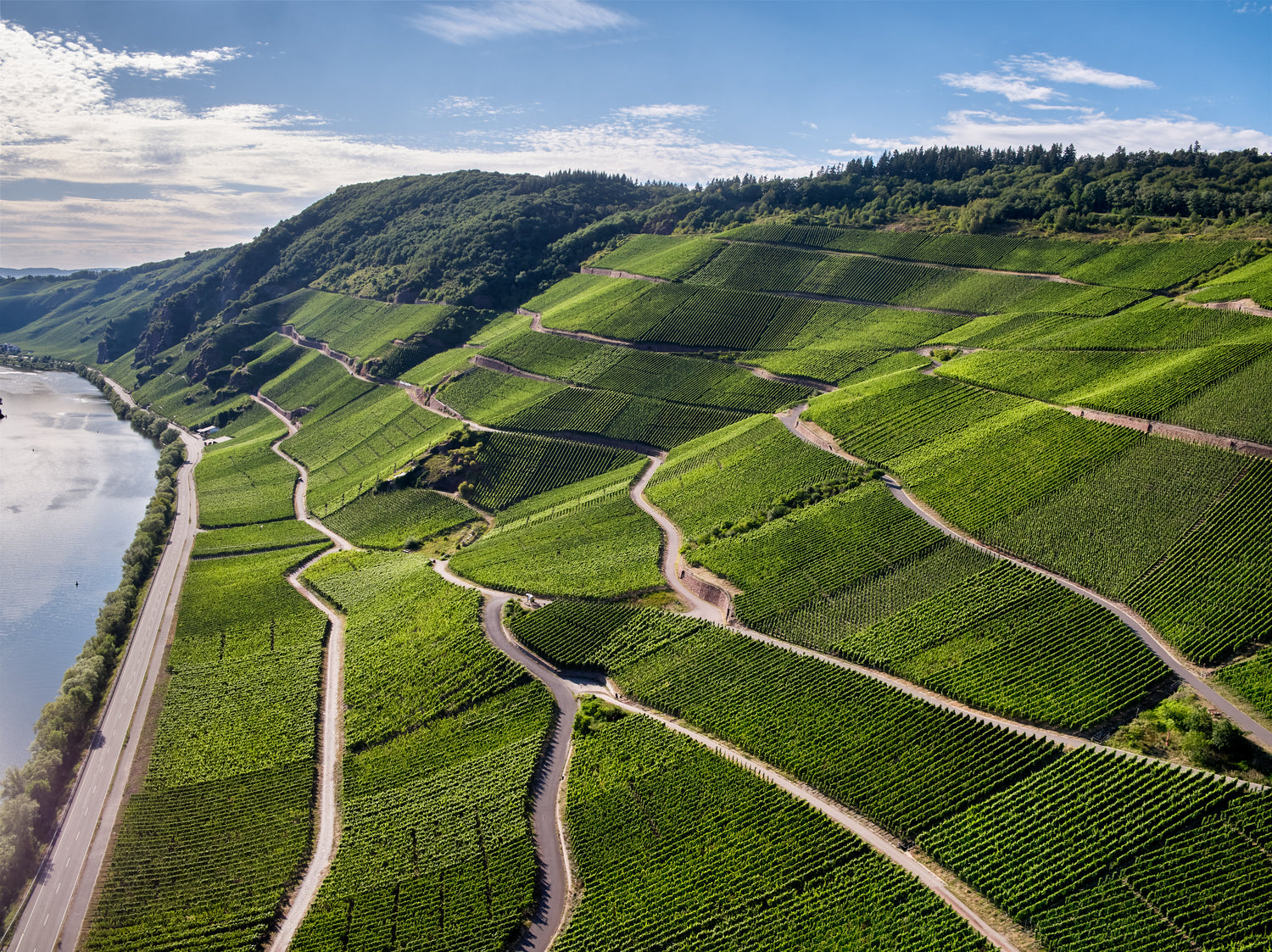 Weingut Schmitges